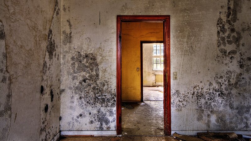 abandoned room with mold