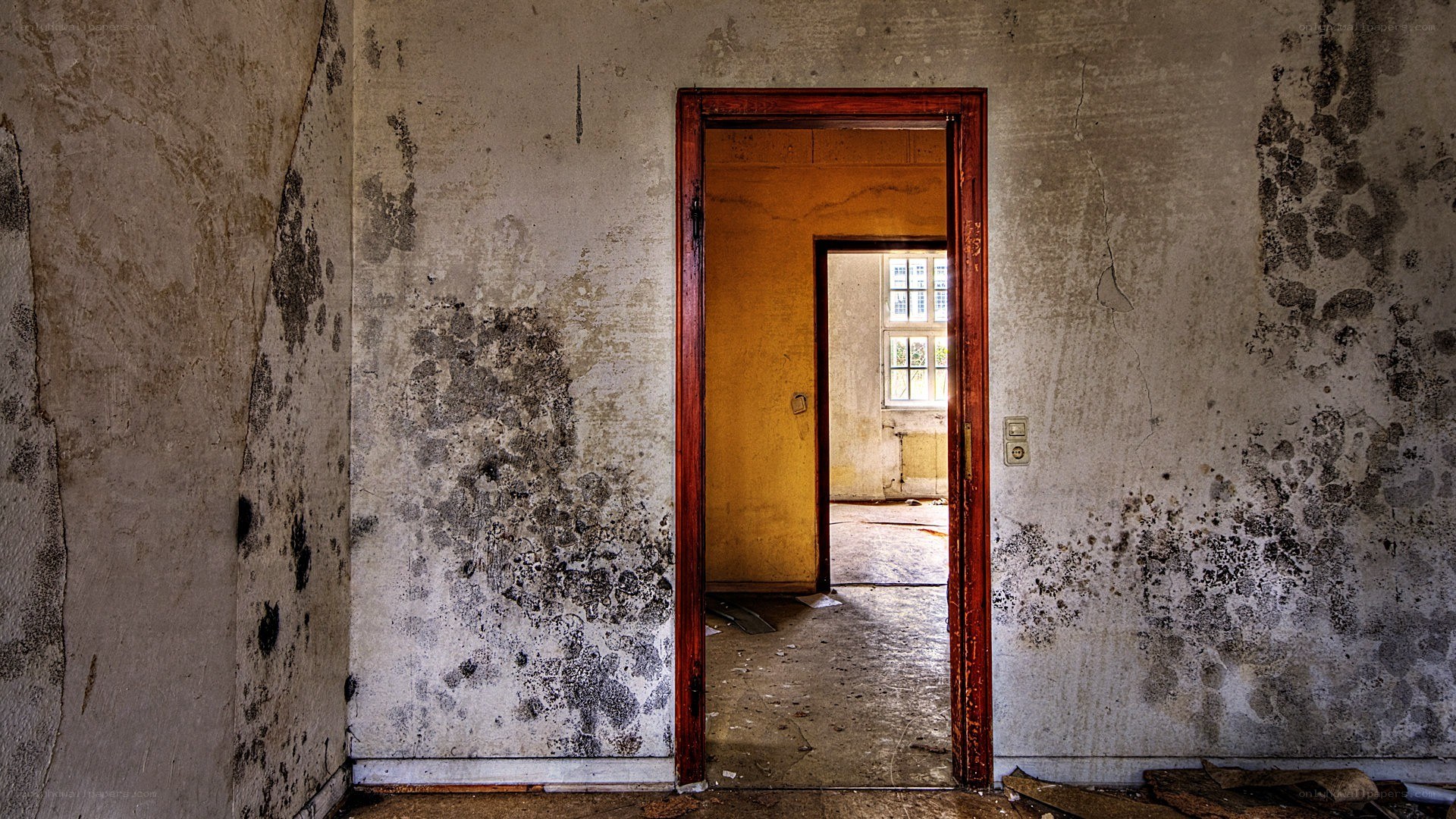 abandoned room with mold