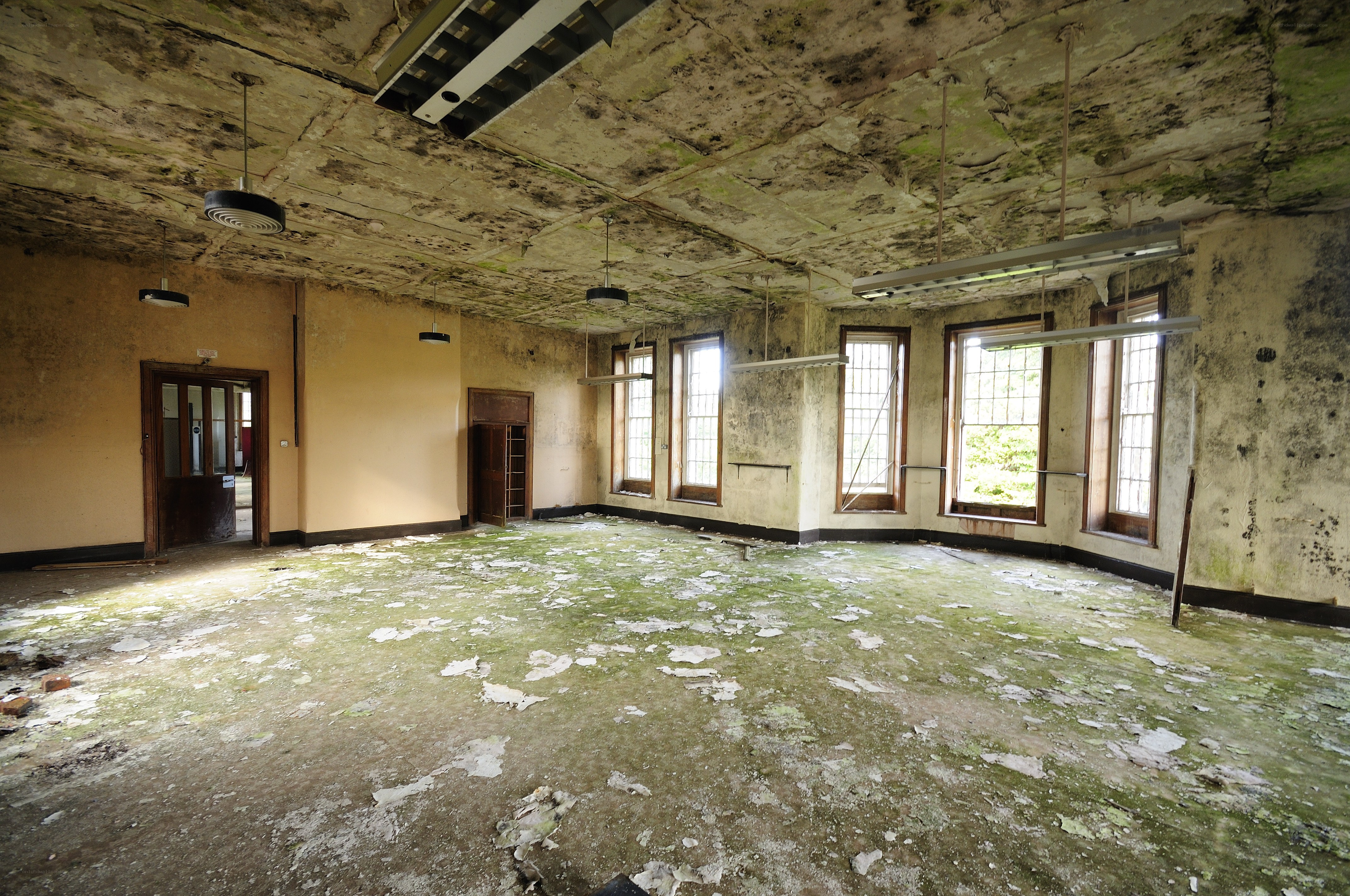 abandoned room with mold