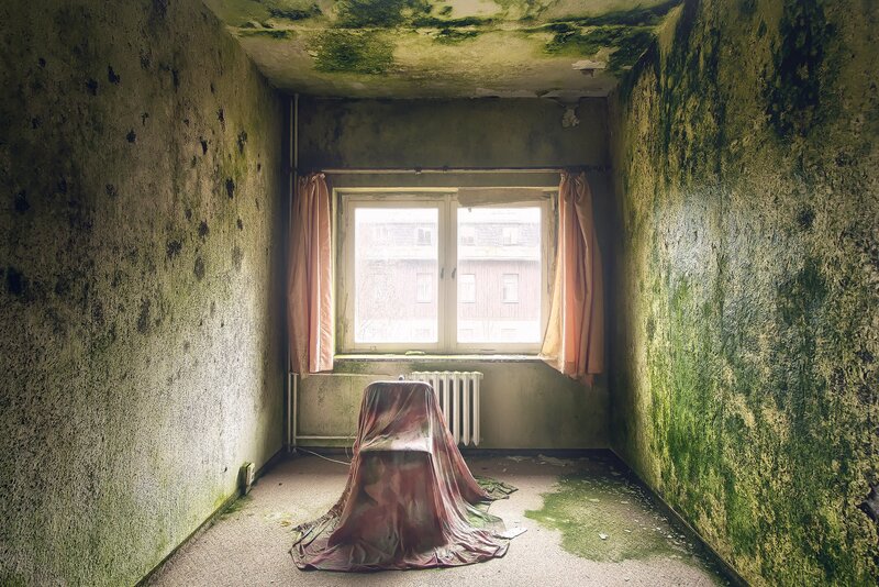 Abandoned Room with Mold — Green