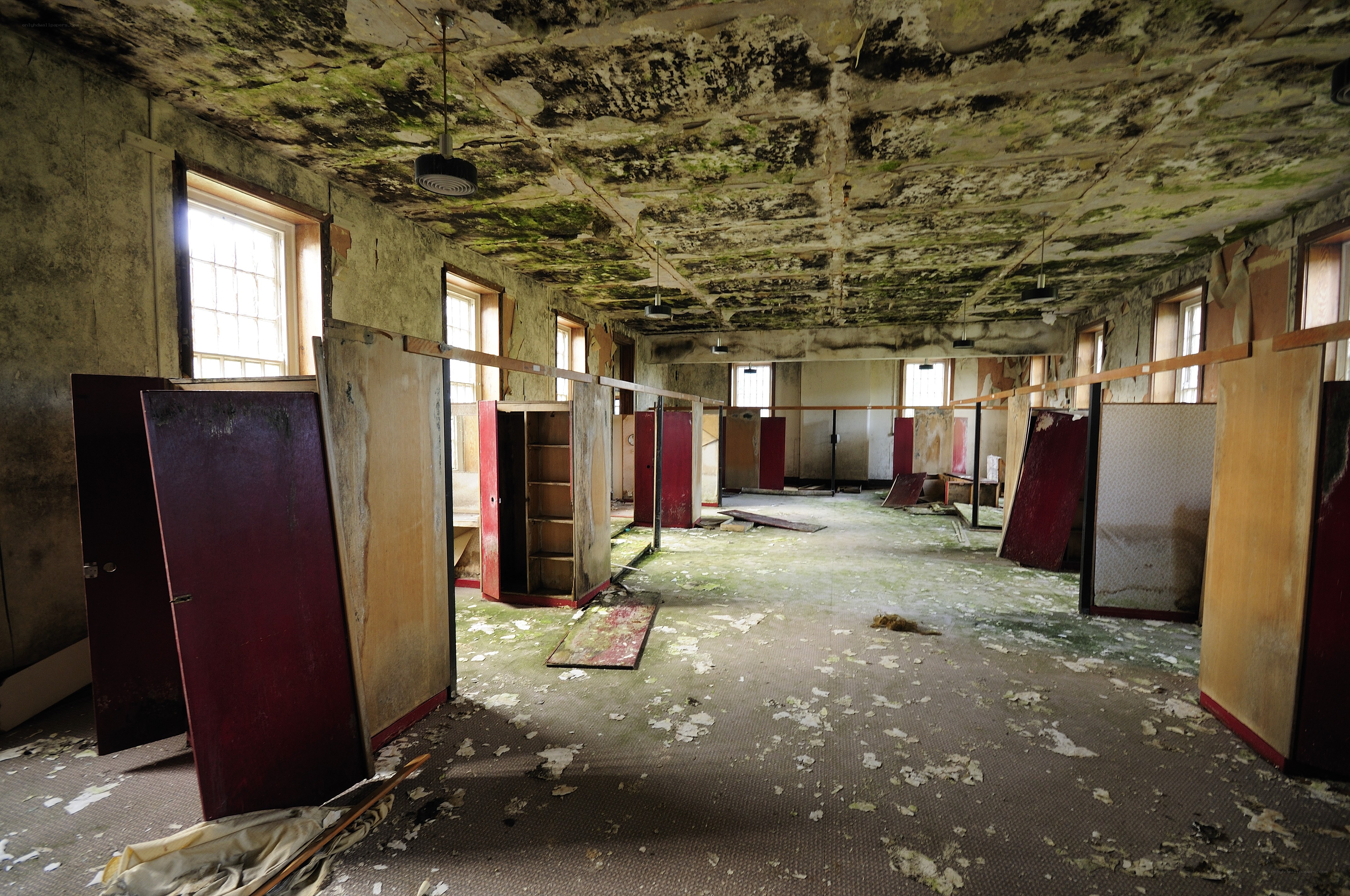 abandoned room with mold