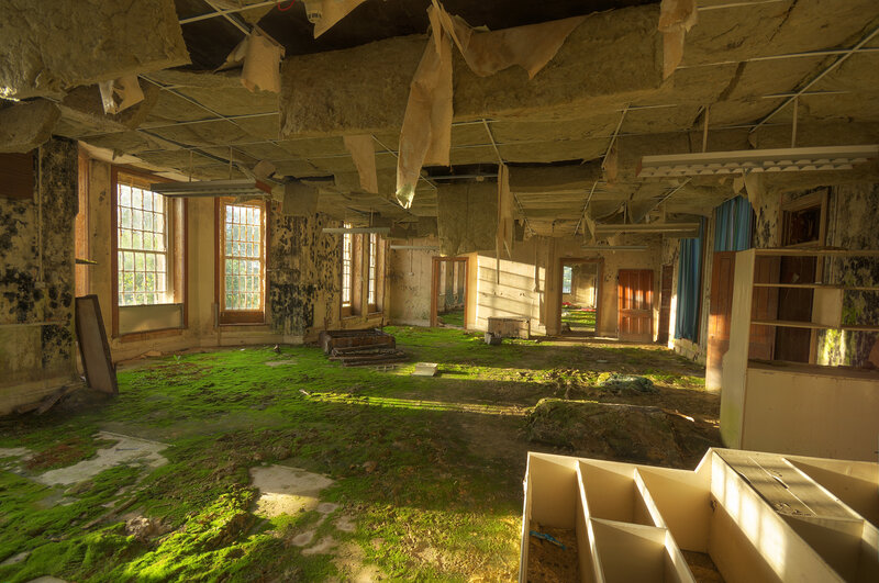 abandoned room with moss