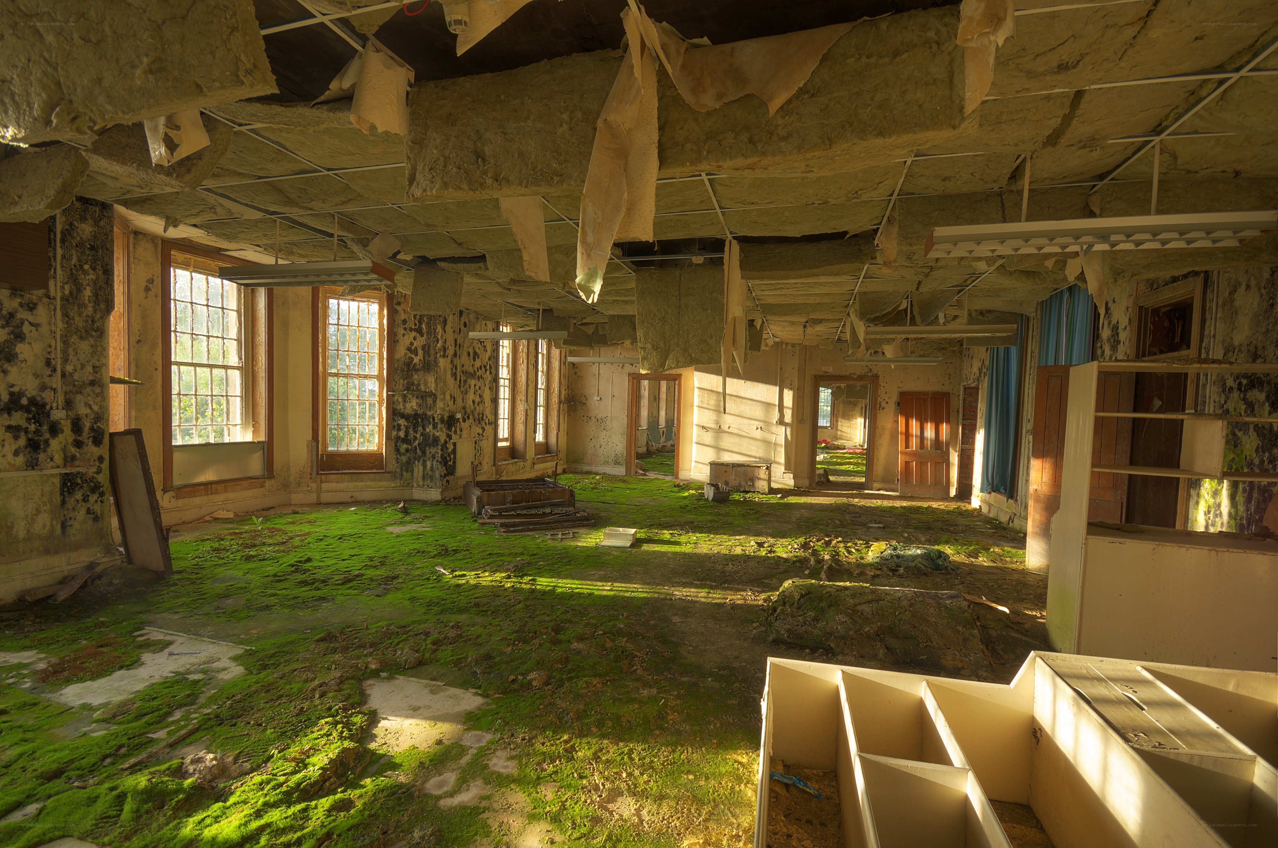 abandoned room with moss
