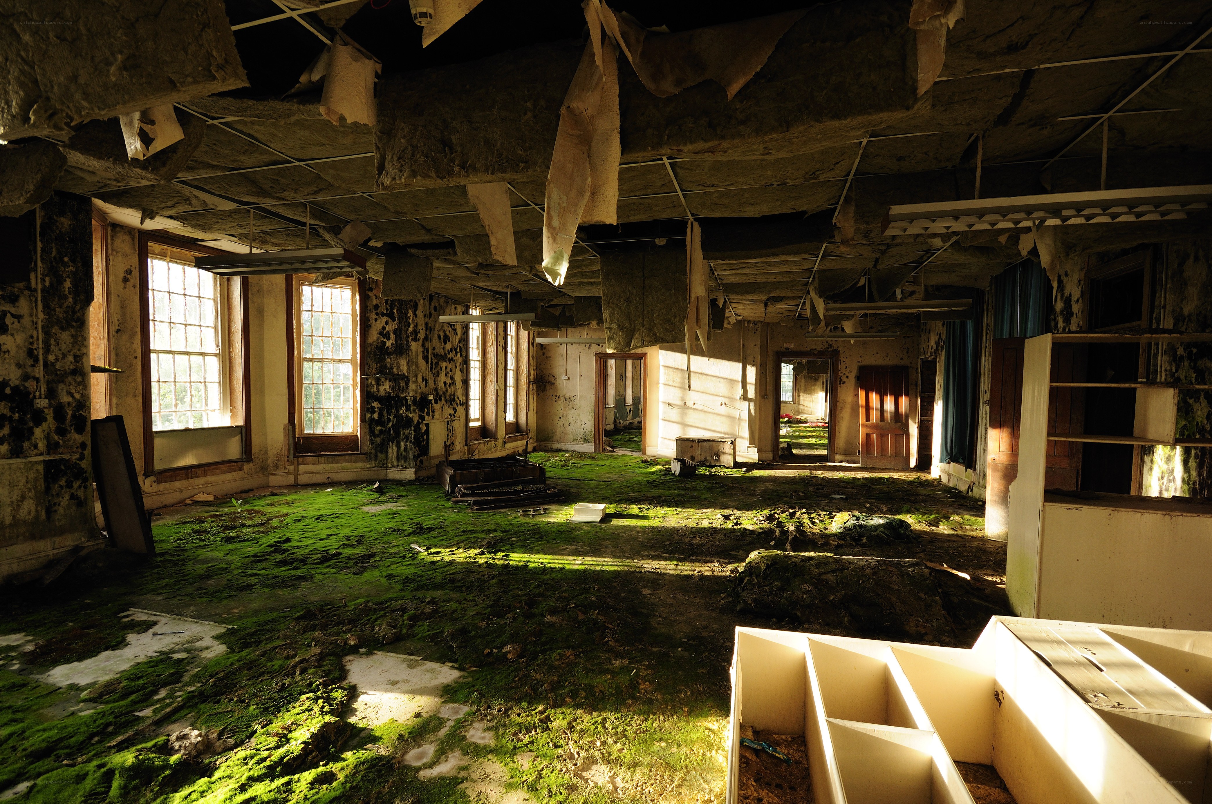 abandoned room with moss