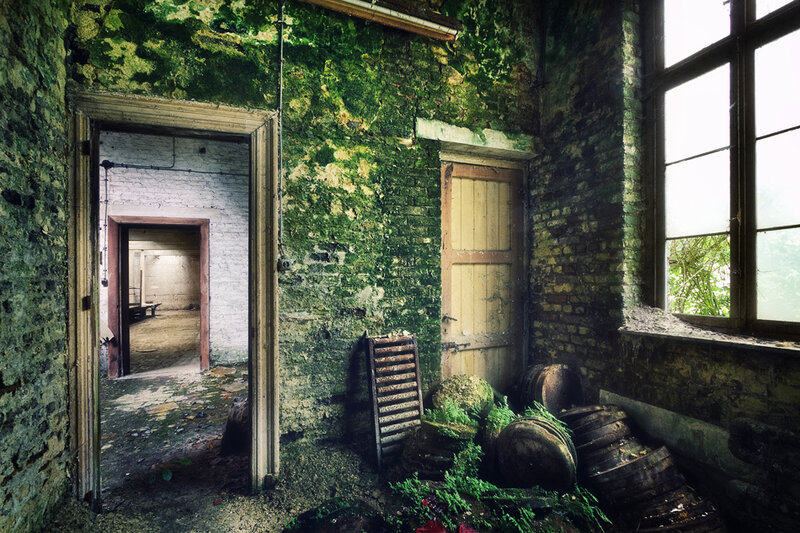 Abandoned Room with Moss — Green, Decaying, Photograph, Moss-covered Walls