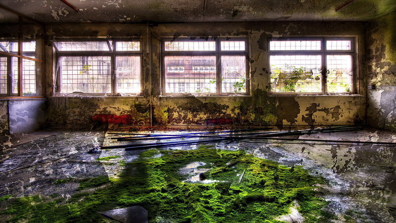 Abandoned Room with Moss — Green, Decaying
