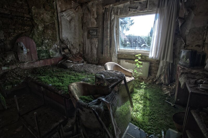 Abandoned Room with Moss — Green