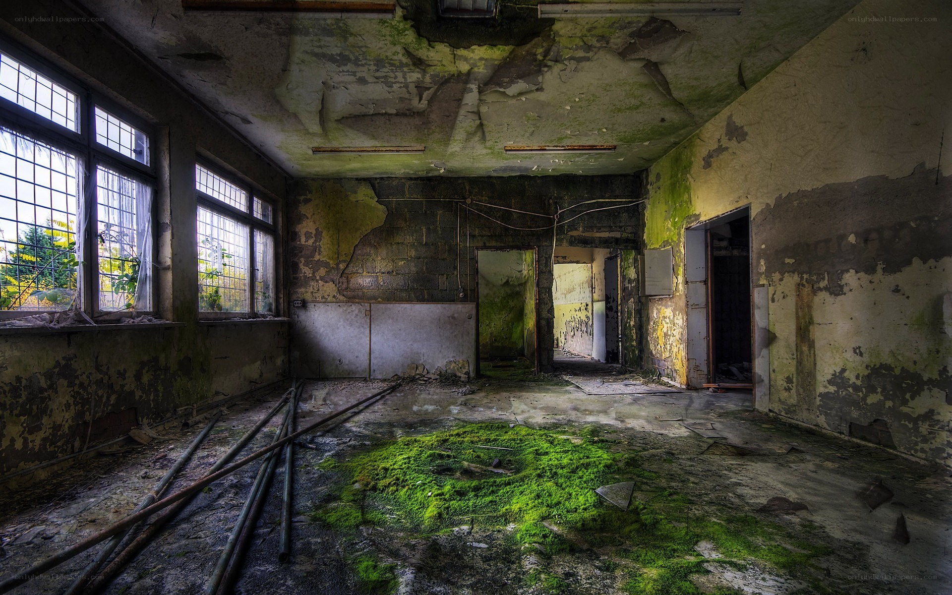 abandoned room with moss growth