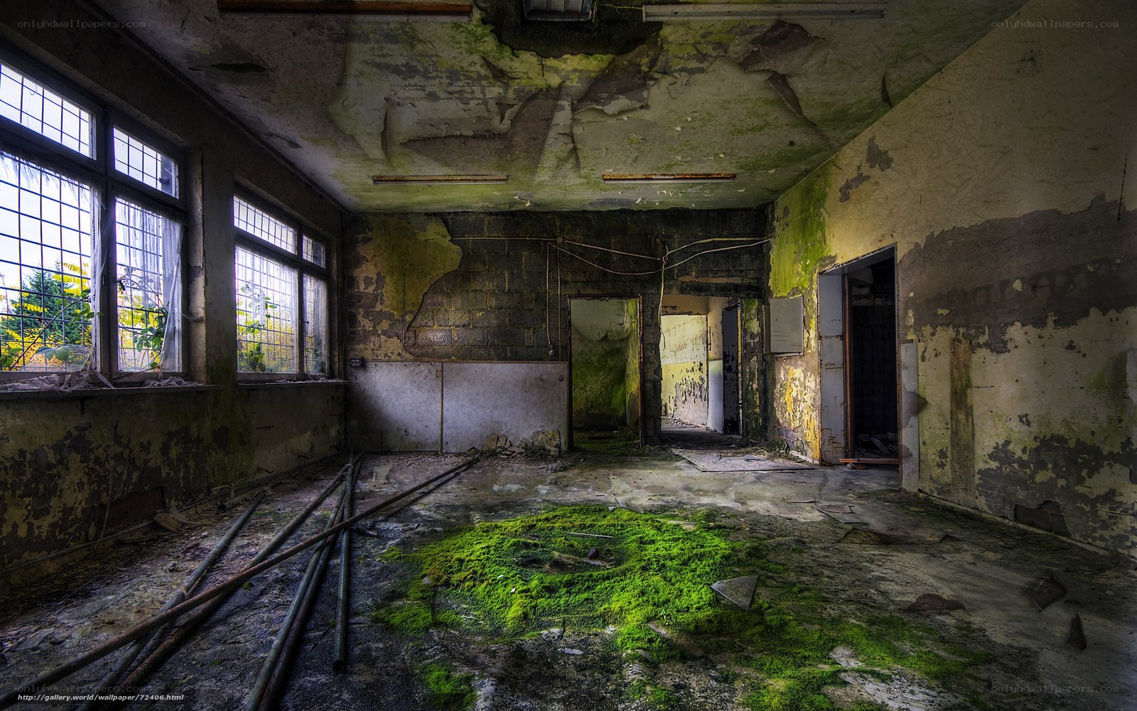 abandoned room with moss growth