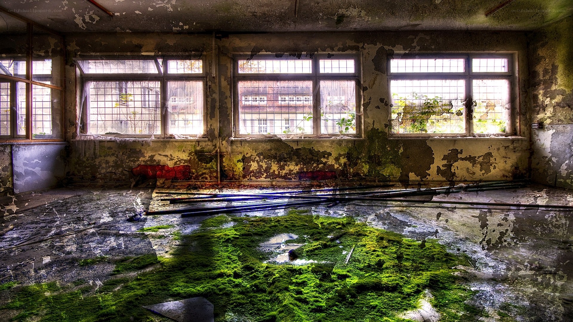 abandoned room with moss