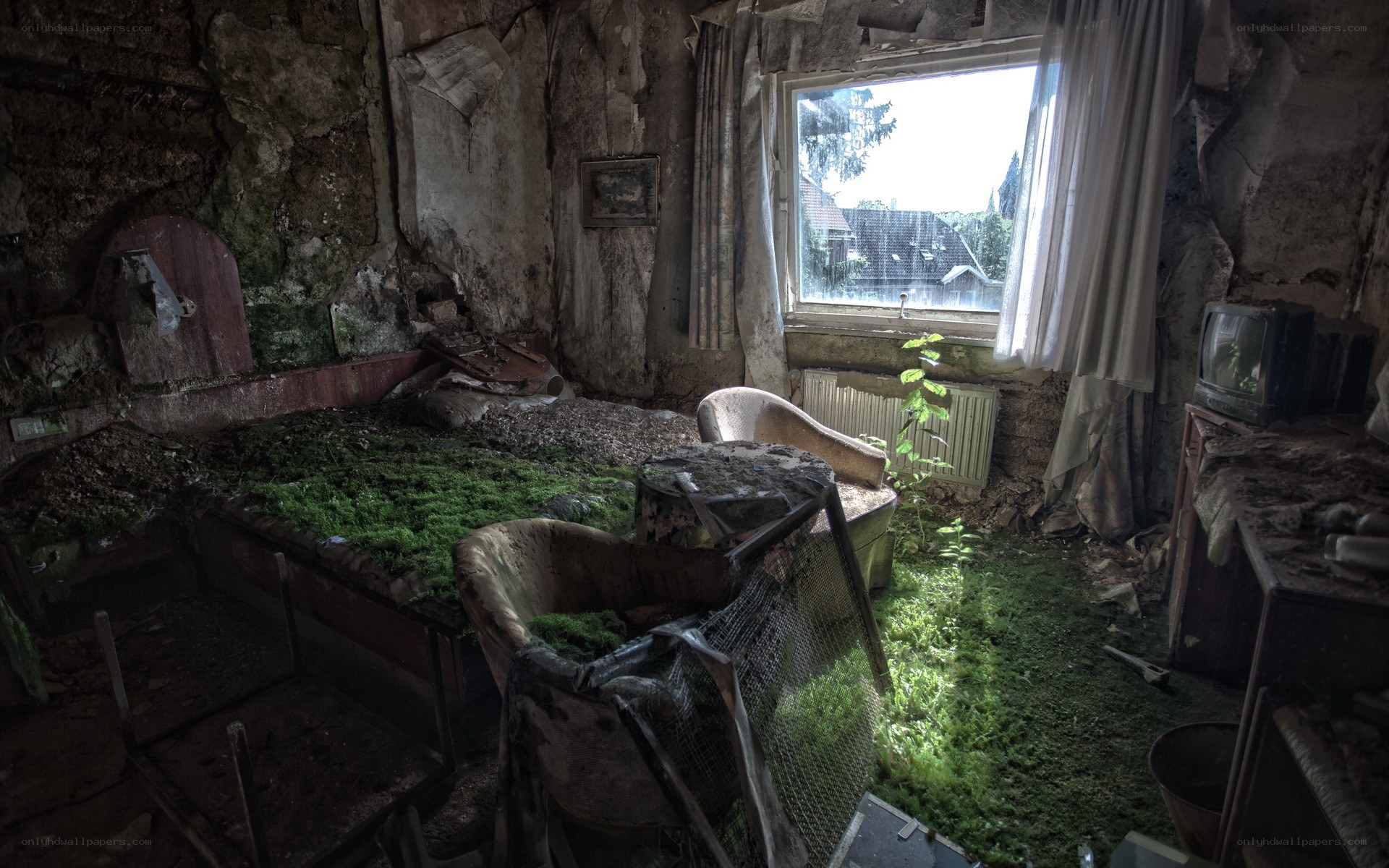 abandoned room with overgrown plants