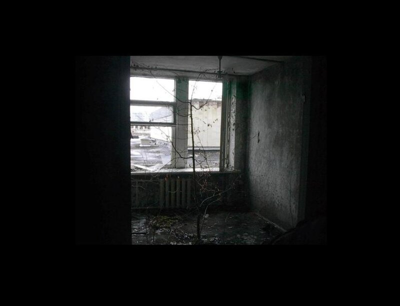 abandoned room with tree
