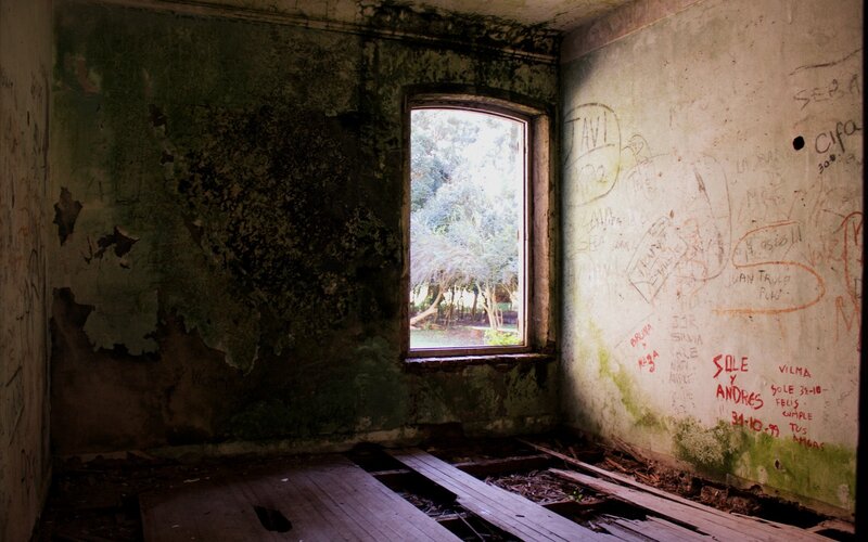 Abandoned Room with Window — Green
