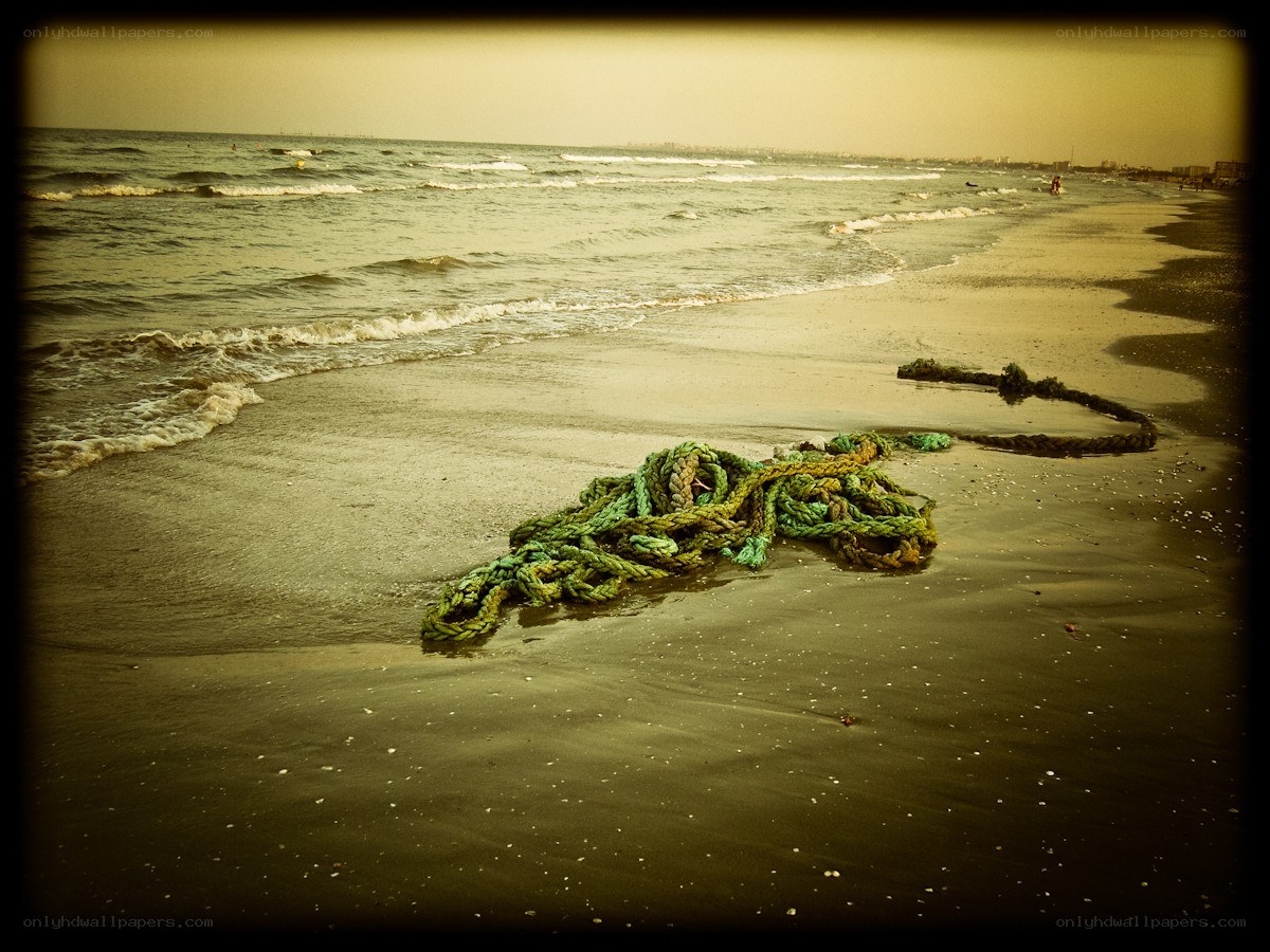 Abandoned rope on beach