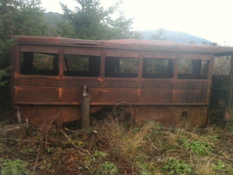 Abandoned School Bus — Brown