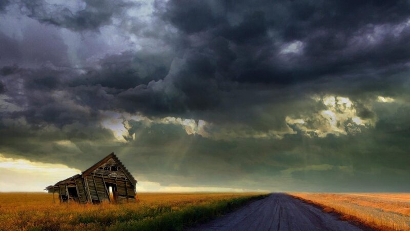 Abandoned Shack in Field — Gray