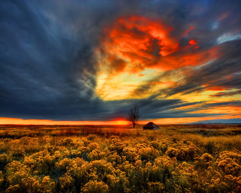 Abandoned Shack in Field — Orange