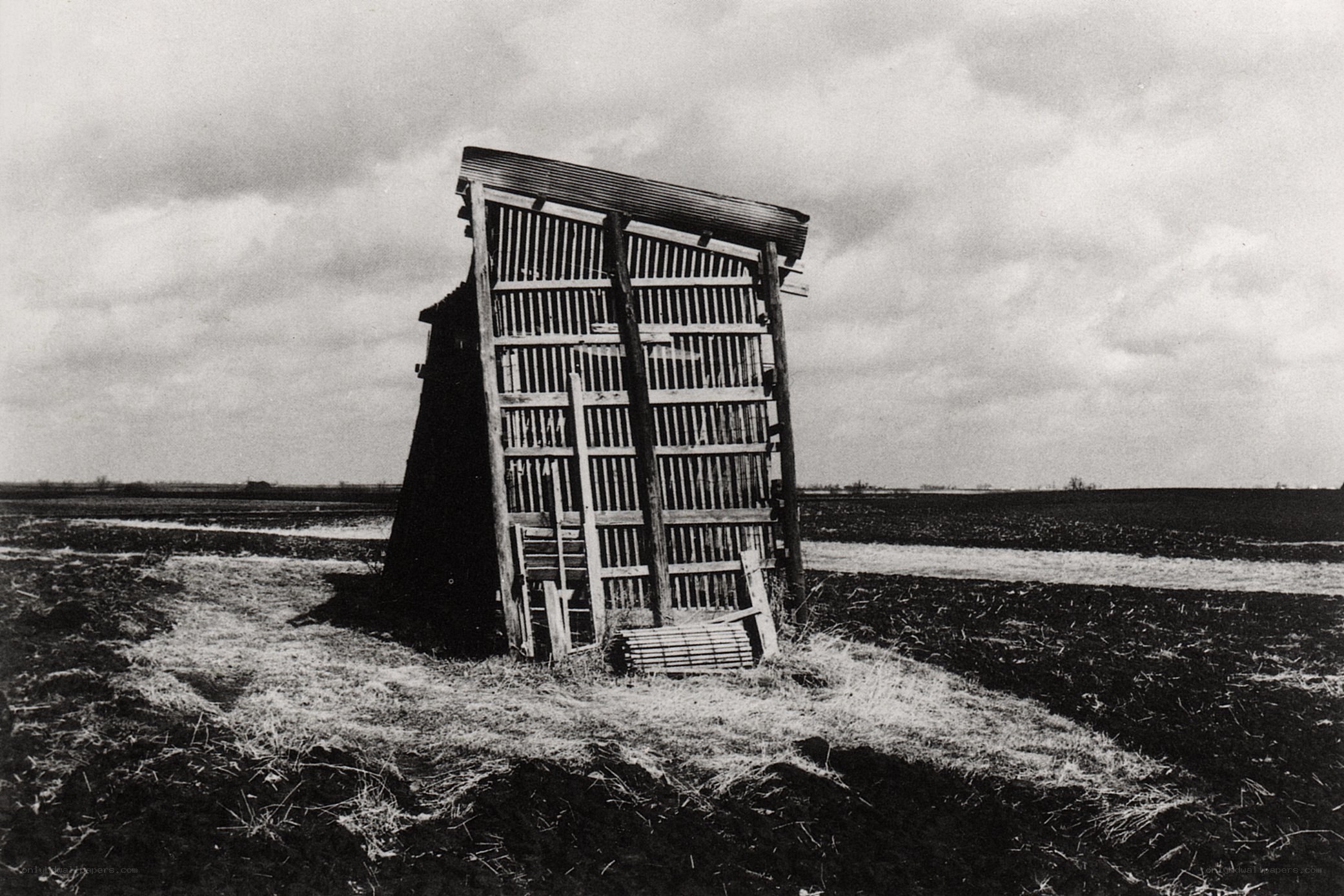 Abandoned shed in a field