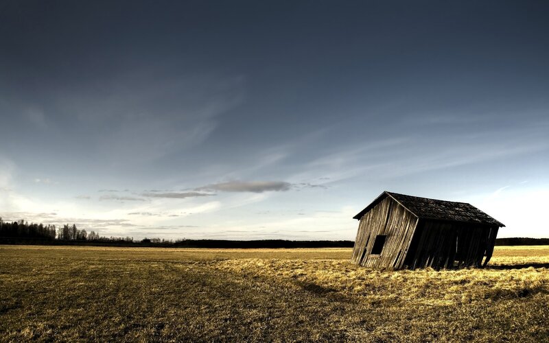 Abandoned shed in a field