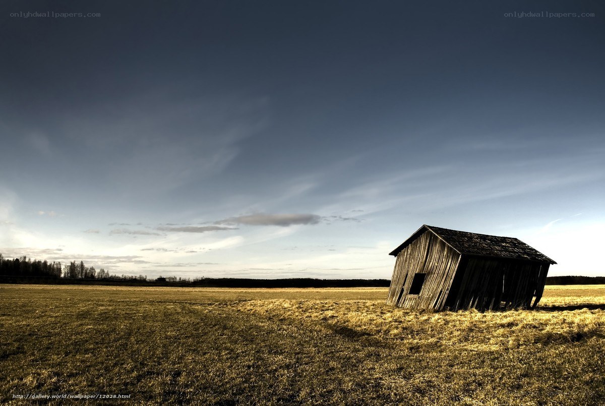 Abandoned shed in a field