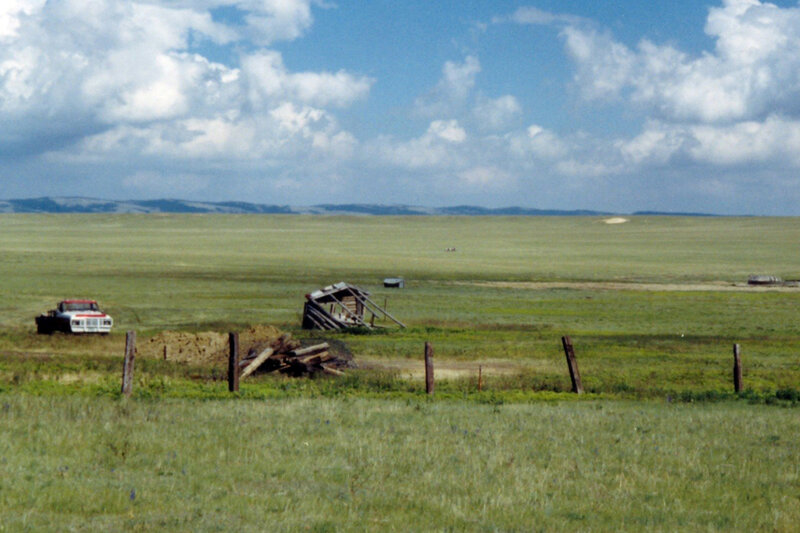 Abandoned shed in a grassy field