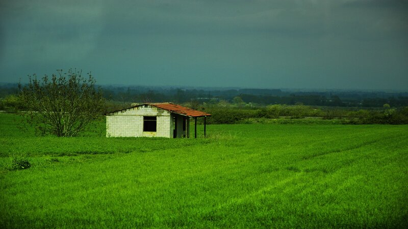 Abandoned shed in a green field