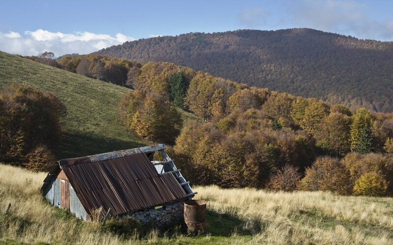 Abandoned shed in autumn hills