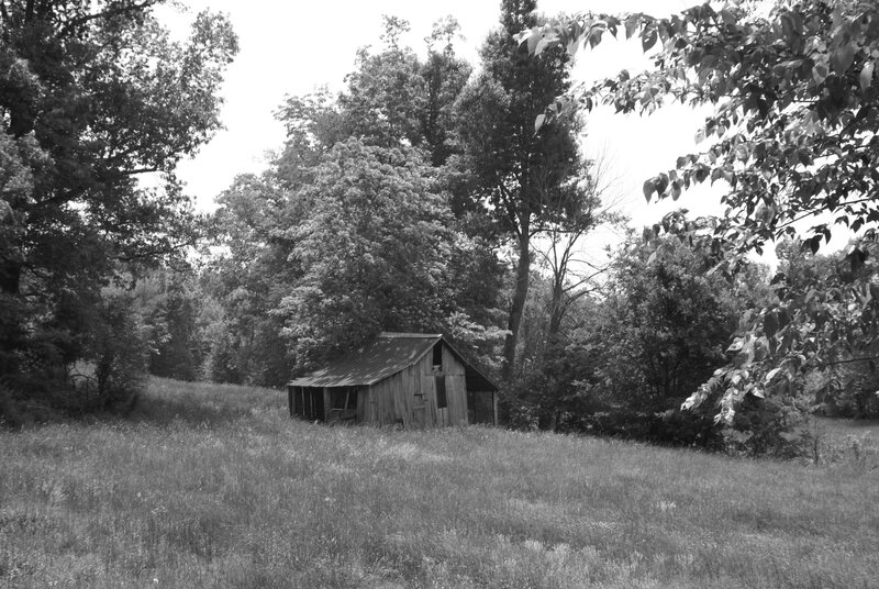 Abandoned Shed in Field — Black