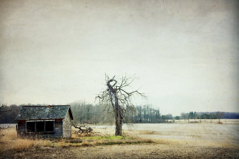 Abandoned Shed in Field — Brown, Desolate