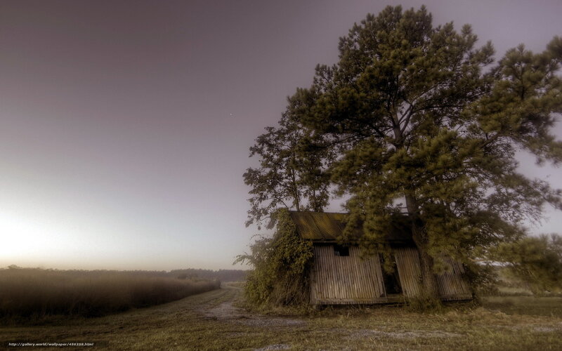 Abandoned Shed in Field — Brown, Somber