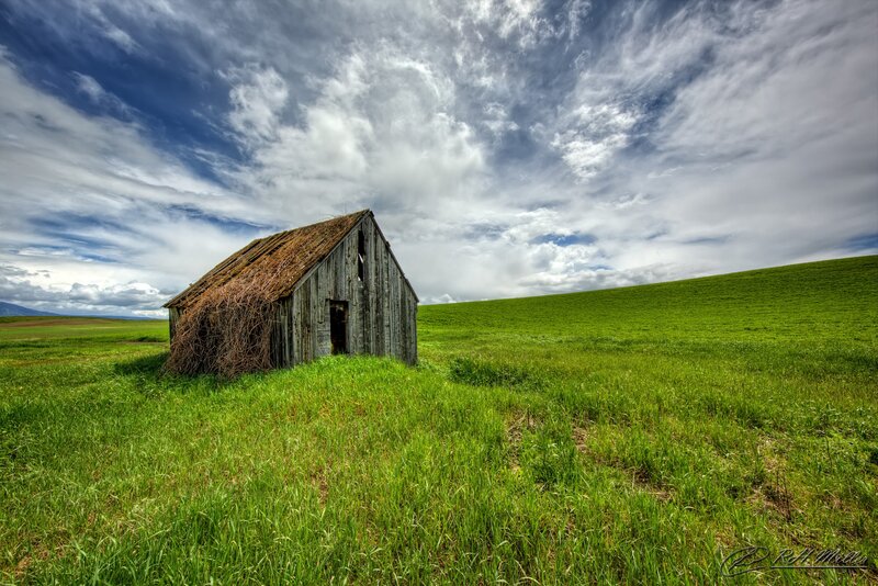 Abandoned Shed in Field — Green, Dramatic