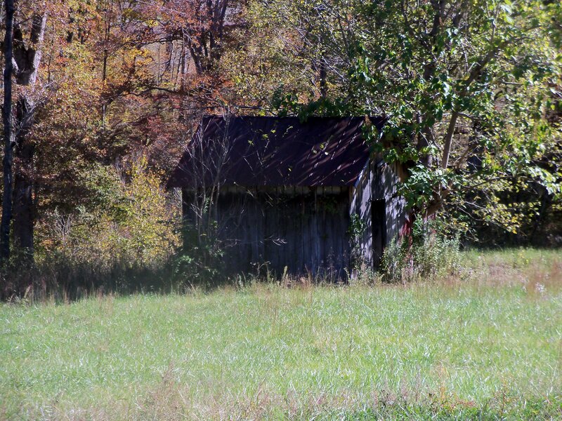 Abandoned Shed in Field — Green, Serene