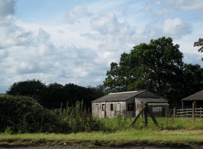 Abandoned Shed in Field — Green