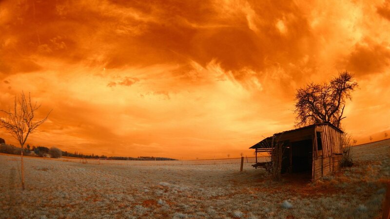 Abandoned Shed in Field — Orange, Dramatic