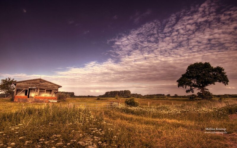 Abandoned Shed in Field — Purple, Dramatic