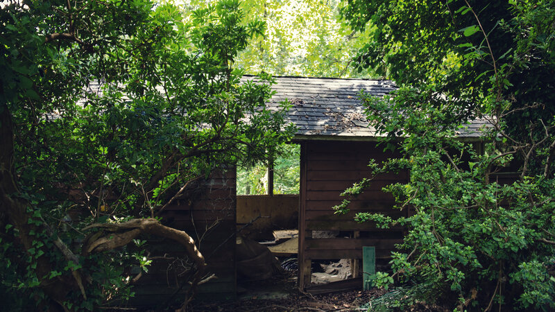 Abandoned Shed in Forest — Green