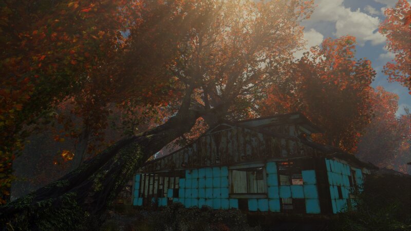 Abandoned Shed in Forest — Orange