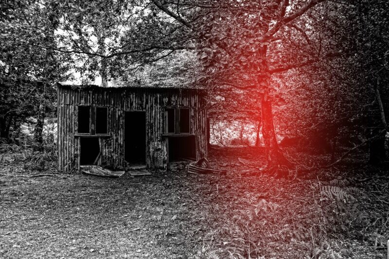 abandoned shed in forest