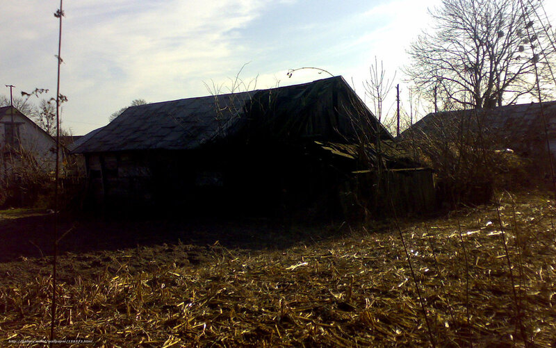 Abandoned shed in rural area