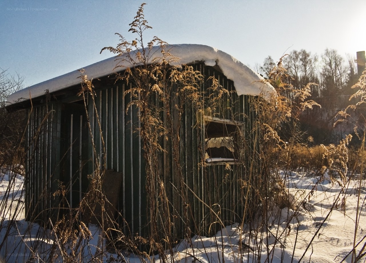 Abandoned shed in winter