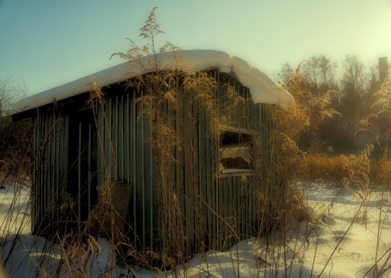 Abandoned shed in winter