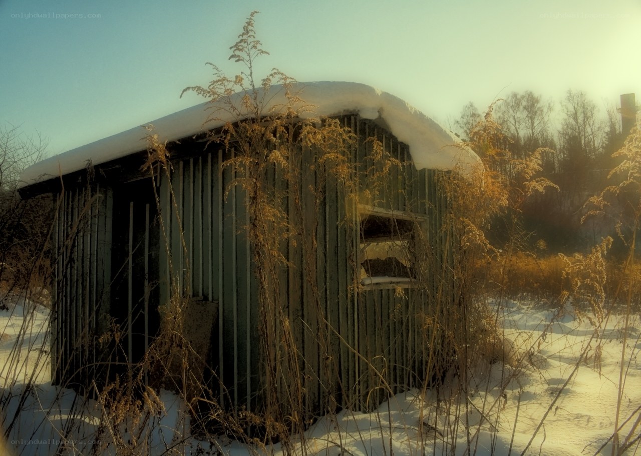 Abandoned shed in winter