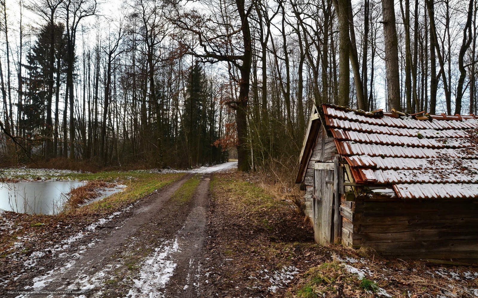 Abandoned shed in winter forest