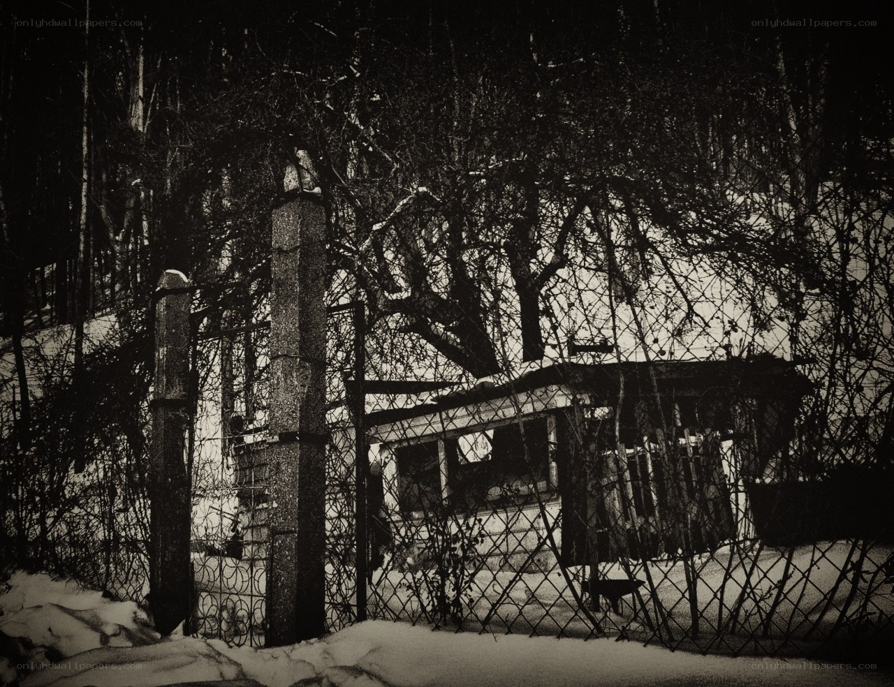 Abandoned shed in winter