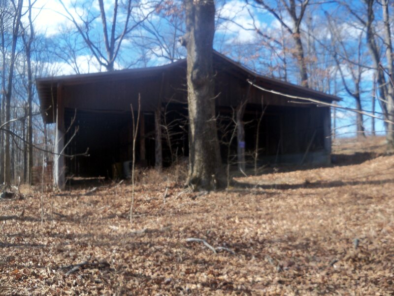 Abandoned Shed in Woods — Brown, Desolate