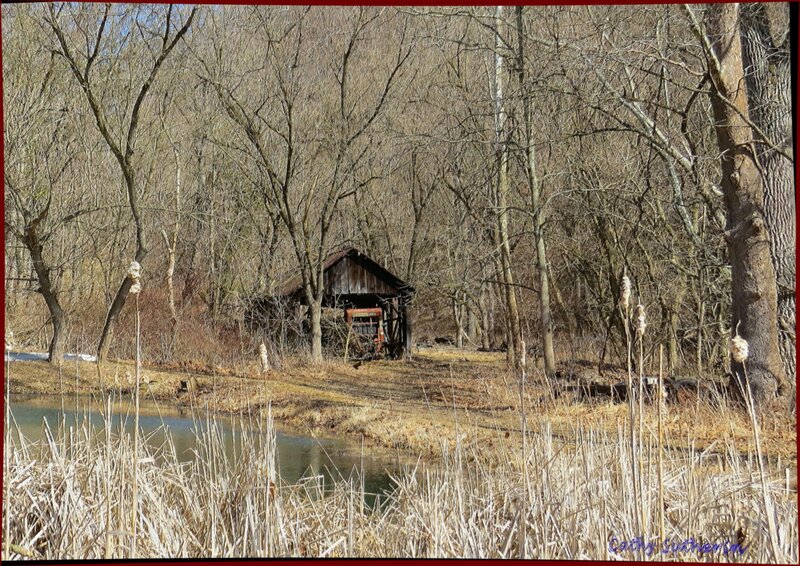 Abandoned Shed in Woods — Brown, Serene