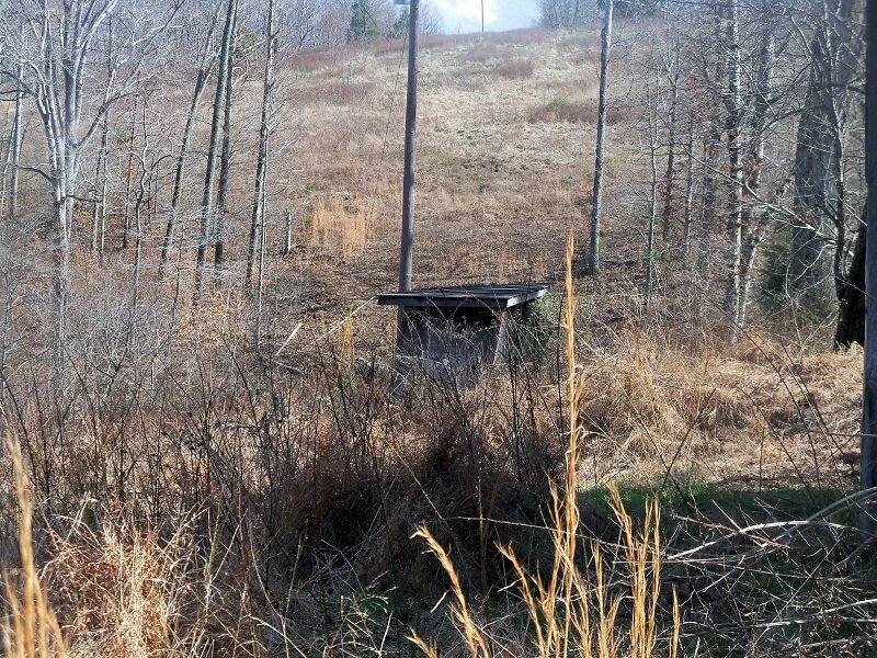 Abandoned Shed in Woods — Brown