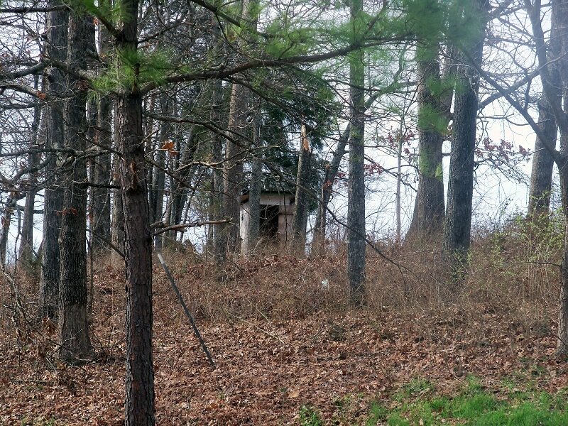 Abandoned Shed in Woods