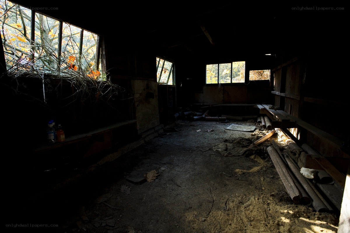 Abandoned shed interior