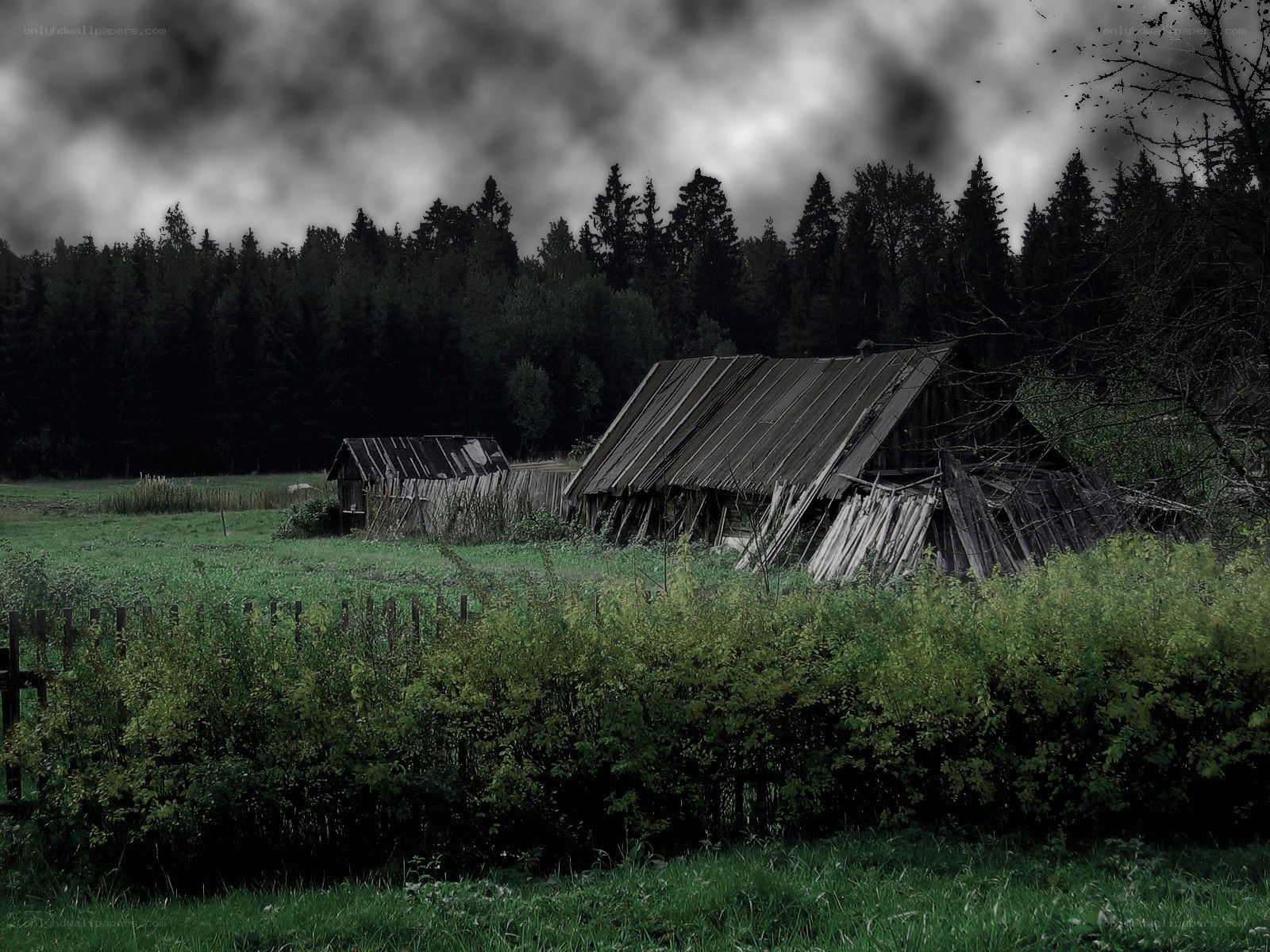 abandoned sheds in a field